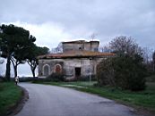 onde_medie_coltano (9).JPG